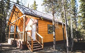 Denali Wild Stay - Redfox Cabin, Free Wifi, Private, Sleep 6